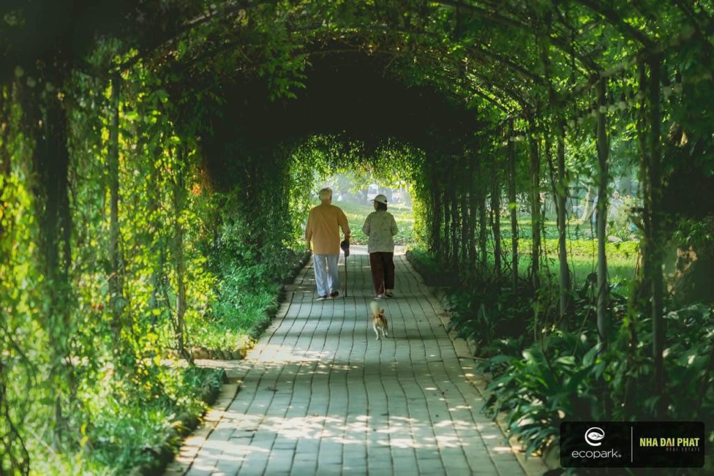 Eco-Retreat-Long-An